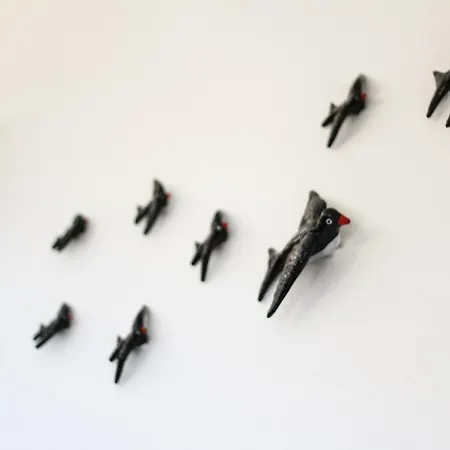 Quinta Andorinhas קארבואירו